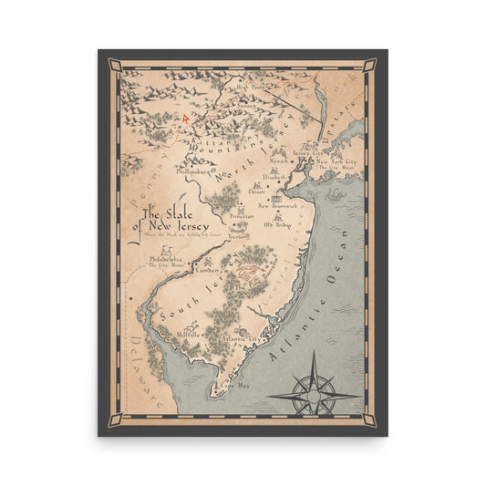 Elegant Matte Wall Map